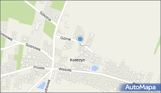 Parafia Rzymsko-Katolicka pw.św.Stanisława Biskupa w Kostrzyniu 26-811 - Przedsiębiorstwo, Firma, numer telefonu, NIP: 7981416808