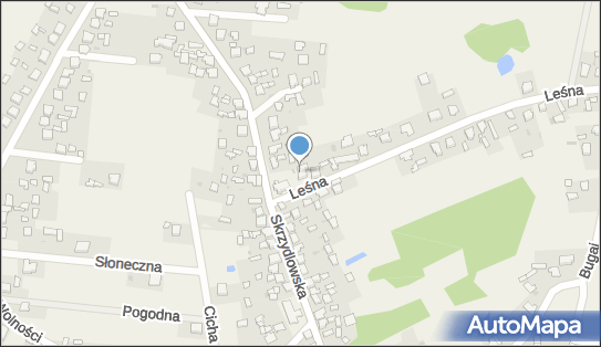 Parafia Rzymsko-Katolicka pw.Świętego Floriana, Rzerzęczyce 42-270 - Przedsiębiorstwo, Firma, NIP: 9491701922