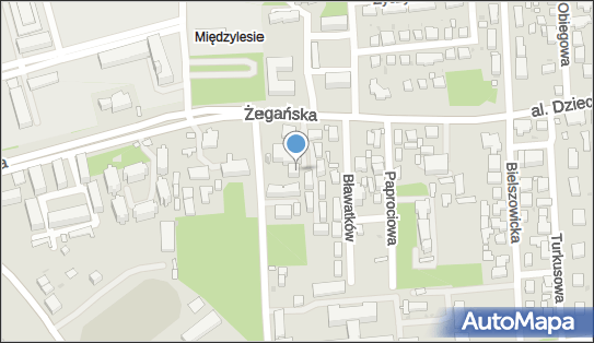 Parafia Rzymskokatolicka im.Najświętszej Maryi Panny w Międzylesiu 04-749 - Przedsiębiorstwo, Firma, NIP: 9521104043