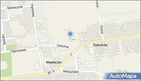 Parafia Rzymskokatolicka P.w.św.Mikołaja w Sokolnikach, Szkolna 5 98-420 - Przedsiębiorstwo, Firma, numer telefonu, NIP: 9970099794