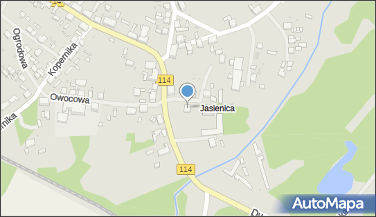 Parafia Rzymskokatolicka pw.św.Ap.Piotra i Pawła, ul. Kościelna 4 72-015 - Przedsiębiorstwo, Firma, numer telefonu, NIP: 8512048511