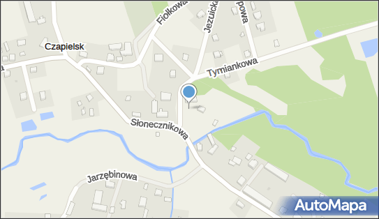 Parafia Rzymskokatolicka pw.św.Mikołaja w Czapielsku, Czapielsk 83-050 - Przedsiębiorstwo, Firma, NIP: 6040157490
