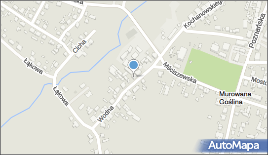 Parkiety Podłogi, Wodna 8, Murowana Goślina 62-095 - Przedsiębiorstwo, Firma, numer telefonu, NIP: 7780102693