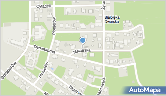 1130263098, Parking Operator Edyta Cyrkanowicz-Kluk 