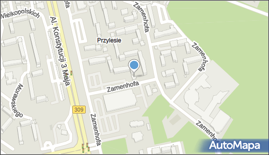 Parking Strzezony Dorota Kuźma, ul. Ludwika Zamenhofa 64A, Leszno 64-100 - Przedsiębiorstwo, Firma, NIP: 6971029216