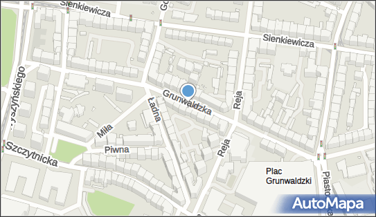 8981028751, Transport Osobowy Pasek Wojciech 