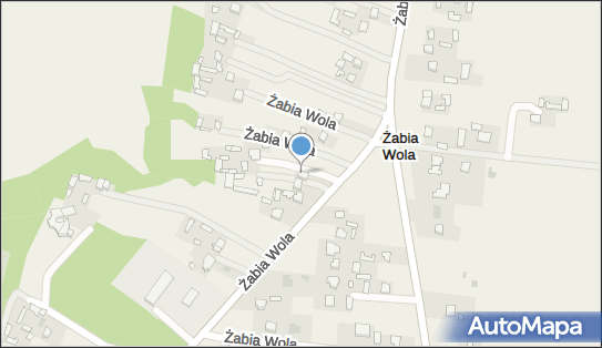 Pasieka A.F.M. Chachuła Moja pszczoła, Żabia Wola 23-107 - Przedsiębiorstwo, Firma, numer telefonu