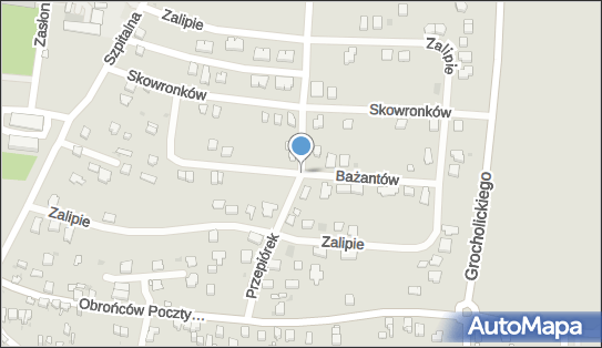 Passion Atelier Agnieszka Fryt, ul. Bażantów 16, Jaworzno 43-600 - Przedsiębiorstwo, Firma, NIP: 5531897669