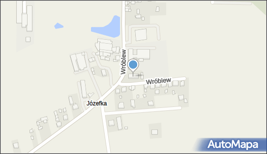 PATI, Wróblew 55a, Wróblew 98-285 - Przedsiębiorstwo, Firma, NIP: 8271324078