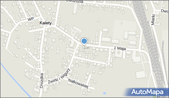 Patrycja Masoń Trendy, 1 Maja 21, Kalety 42-660 - Przedsiębiorstwo, Firma, NIP: 6452358192