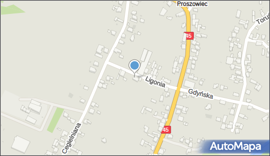 6391820560, Niwelacja Terenu Patrycja Stanienda 