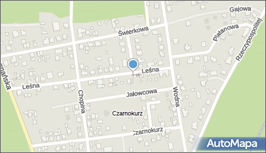 7773072123, Patryk Potocki 