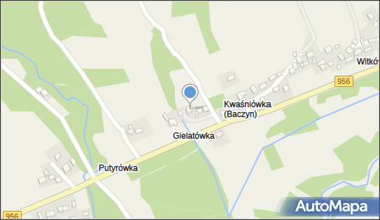 5521699117, Wdzięk i Moda Paulina Bańdura 