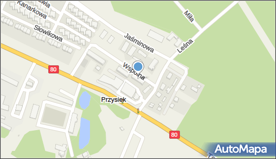 Paulina Cendrowska Firelab, ul. Wspólna 5A, Przysiek 87-134 - Przedsiębiorstwo, Firma, NIP: 5222763793