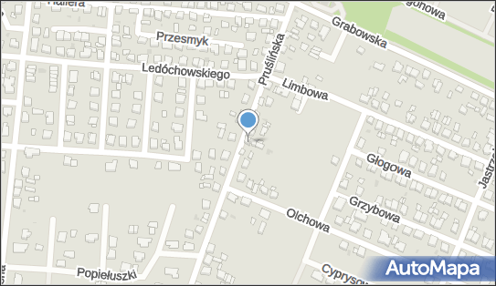 6211544898, Paulina Flajszer Przedsiębiorstwo Handlowo Usługowe Hubertus-Trans 