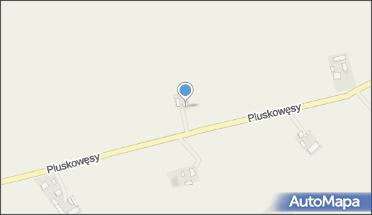 5030053802, Paulina Kowalczyk 