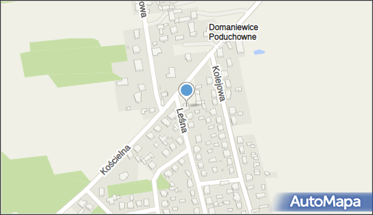 Paw-Trans Krzysztof Pawlata, Leśna 31, Domaniewice 99-434 - Przedsiębiorstwo, Firma, NIP: 8341470797