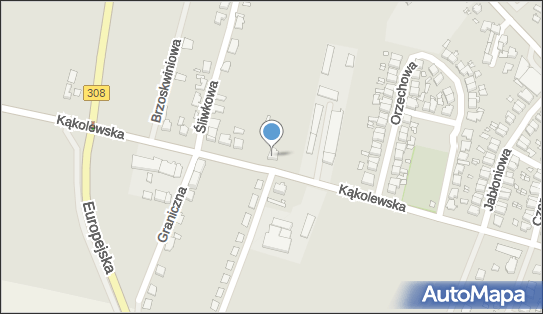 Paweł Bielawny Bielawny - Transport, ul. Kąkolewska 32 62-065 - Przedsiębiorstwo, Firma, NIP: 7881245394