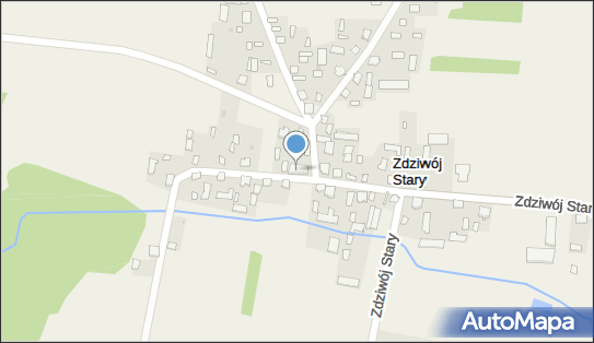 Paweł Budkiewicz Transport Towarowy, Zdziwój Stary 17 06-330 - Przedsiębiorstwo, Firma, NIP: 7610007205