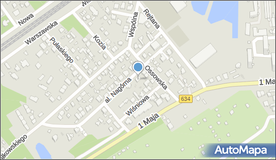 1250407973, Towarowy Transport Drogowy Czyżewski Paweł 