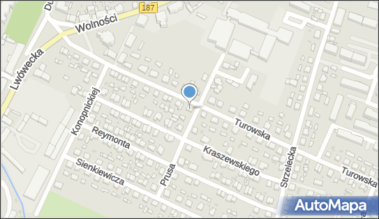 Paweł Janicki Wikmar, Turowska 37, Pniewy 62-045 - Przedsiębiorstwo, Firma, NIP: 7871753203