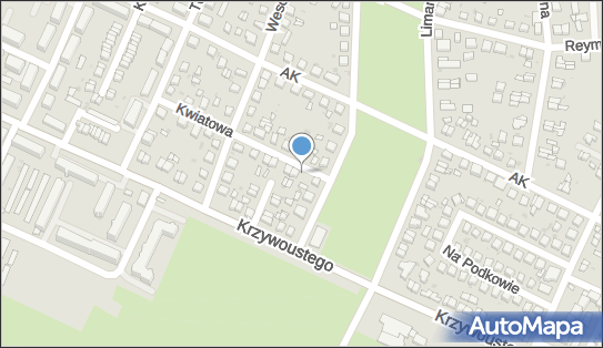 9111868137, Paweł Jaremków Lekarz 