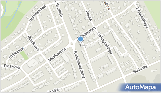 7532395132, Rehabilitacja Domowa Paweł Mazur 