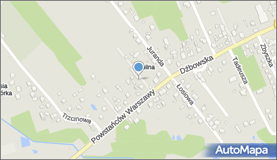 Paweł Mirgos Firma Nestor, Powstańców Warszawy 10, Częstochowa 42-271 - Przedsiębiorstwo, Firma, NIP: 5731014054