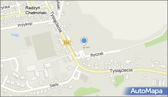 221128252, Paweł Nelkowski Radix