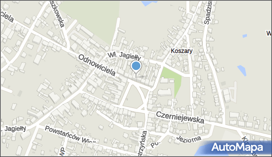 Paweł Neugebauer-Kosiński, Rynek 2, Pobiedziska 62-010 - Przedsiębiorstwo, Firma, NIP: 7811692001