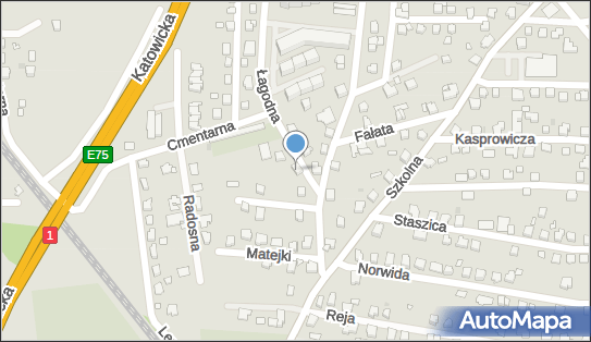 6521668488, Paweł Okolus 