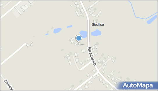 Paweł Piątek Ancistrus Hodowla Rybek Akwariowych Paweł Piątek 66-400 - Przedsiębiorstwo, Firma, NIP: 5992334220