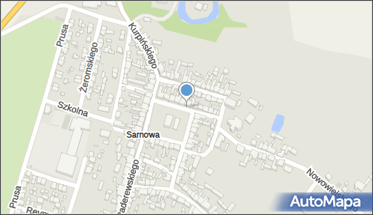 Paweł PospiechFirma Handlowo-Usługowa, Rynek Sarnowski 15, Rawicz 63-900 - Przedsiębiorstwo, Firma, NIP: 6991880211