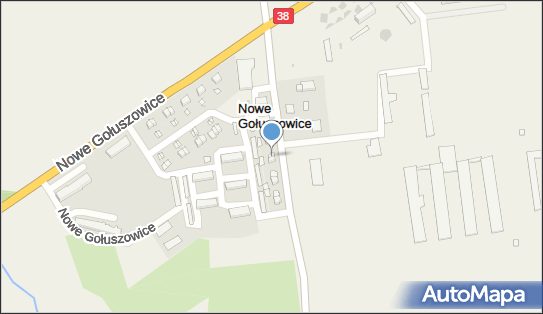 Paweł Pruszowski, Nowe Gołuszowice 27, Nowe Gołuszowice 48-100 - Przedsiębiorstwo, Firma, NIP: 7481482995