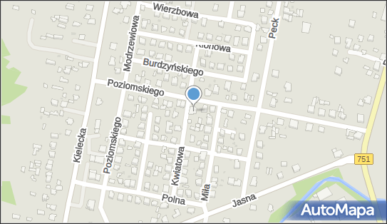 260387990, Pawpol Paweł Skorodzień 