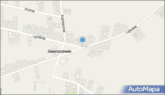 Paweł Stolecki, ul. Lipowa 37, Sławoszewek 62-540 - Przedsiębiorstwo, Firma, NIP: 6651629363