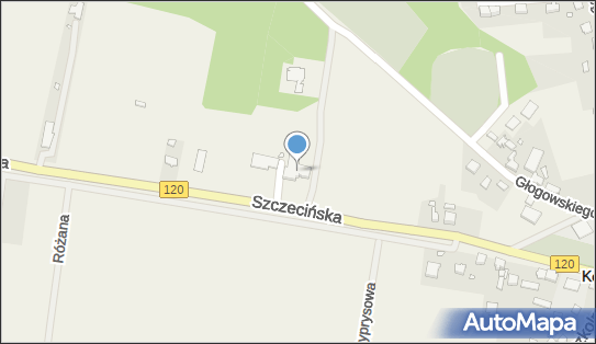Paweł Tkacz Hotel Wenus, Szczecińska 21, Kobylanka 73-108 - Przedsiębiorstwo, Firma, NIP: 9551908272