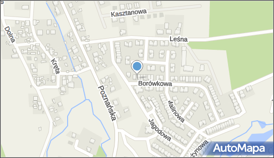 Paweł Tymiński, Borówkowa 5, Czapury 61-160 - Przedsiębiorstwo, Firma, NIP: 7822043418