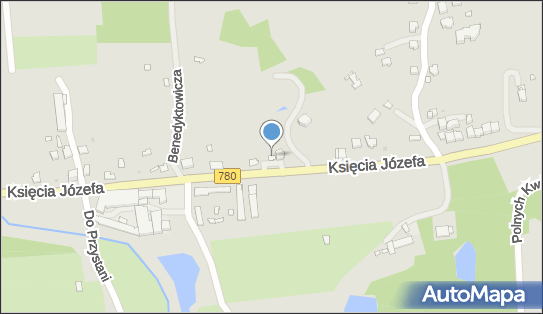 Peppes Pizza, Księcia Józefa 91, Kraków 30-206 - Przedsiębiorstwo, Firma