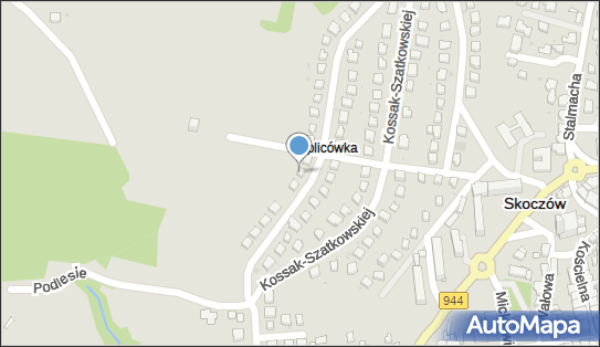 070775130, Perzewóz Osób Samochodem Osobowym