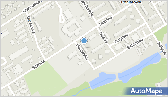 061385484, Petersafe Usługi w Zakresie BHP i Ochrony Środowiska Adam Peterwas 