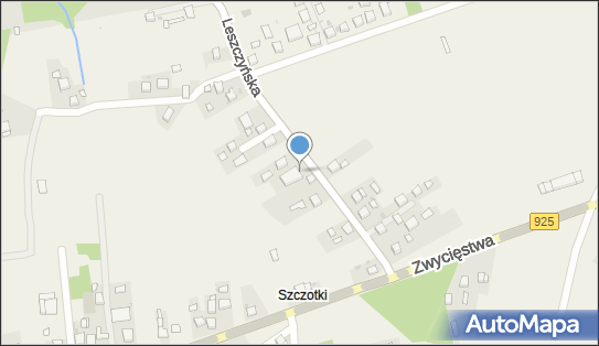 PH Turek Agnieszka Turek, ul. Leszczyńska 46, Przegędza 44-238 - Przedsiębiorstwo, Firma, numer telefonu, NIP: 6422575594
