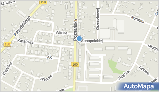 PHP Agropol, Poznańska 21B, Drezdenko 66-530 - Przedsiębiorstwo, Firma, numer telefonu, NIP: 2810063878