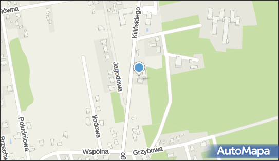 PHU Dominex Grzegorz Wysocki, ul. Jana Kilińskiego 12 05-320 - Przedsiębiorstwo, Firma, NIP: 8221228757