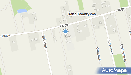 PHU Inter Bud, ul. Długa 32, Kaleń-Towarzystwo 96-321 - Przedsiębiorstwo, Firma, numer telefonu, NIP: 8381342290