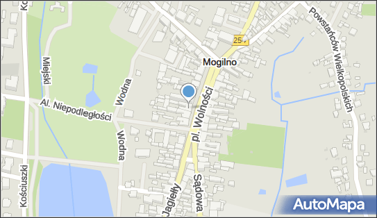 PHU LG, pl. Wolności 14, Mogilno 88-300 - Przedsiębiorstwo, Firma, NIP: 5571621643