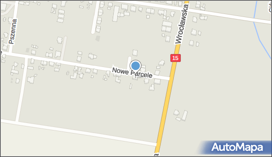 PHU Nikola Małgorzata Pawlicka, ul. Nowe Parcele 4, Jarocin 63-200 - Przedsiębiorstwo, Firma, NIP: 6172098904