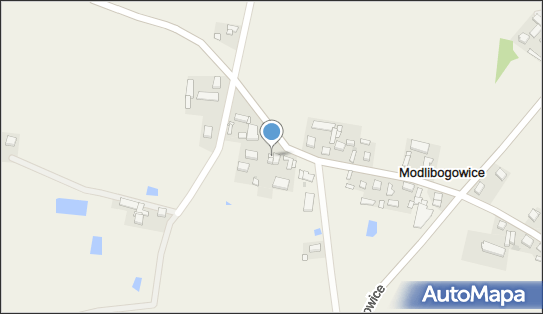 PHU Triorystef Teresa Gołza, Modlibogowice 9, Modlibogowice 62-573 - Przedsiębiorstwo, Firma, NIP: 6651743030