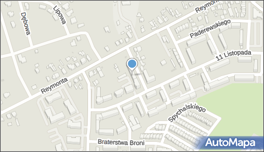 Piechulska Kamilla, ul. Ignacego Paderewskiego 13, Sieradz 98-200 - Przedsiębiorstwo, Firma, NIP: 8271136282