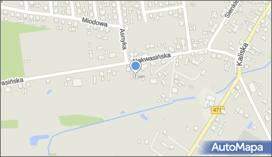Piekarski Maciej Przedsiębiorstwo Handlowo-Usługowe Auto-Centrum 62-840 - Przedsiębiorstwo, Firma, NIP: 9680575803